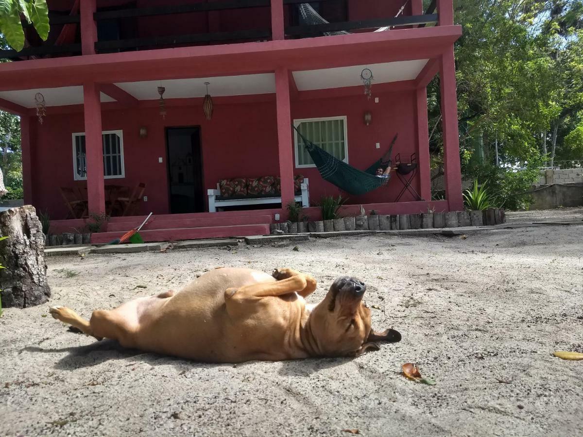 Oxe Uai Vandrarhem Porto Seguro Exteriör bild